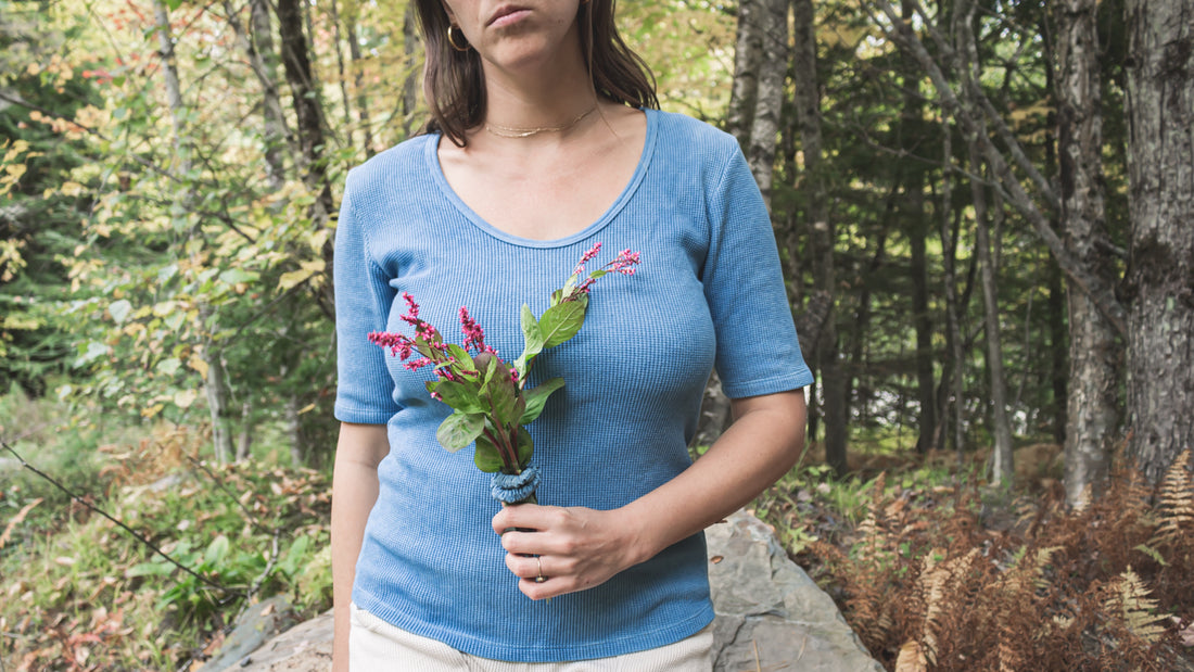 Indigo: History And Modern Natural Dyeing